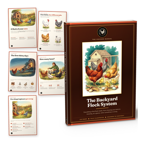 The Backyard Flock System
