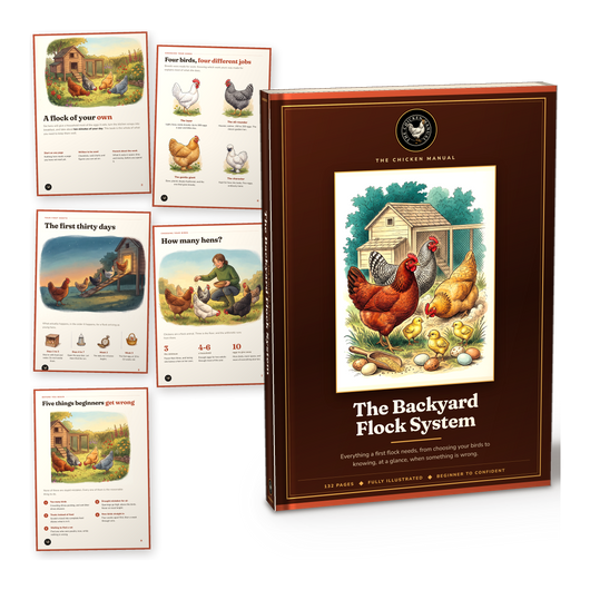 The Backyard Flock System