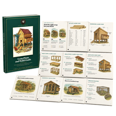 Chicken Coop Plans and Build Guide