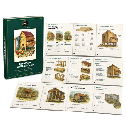 Chicken Coop Plans and Build Guide